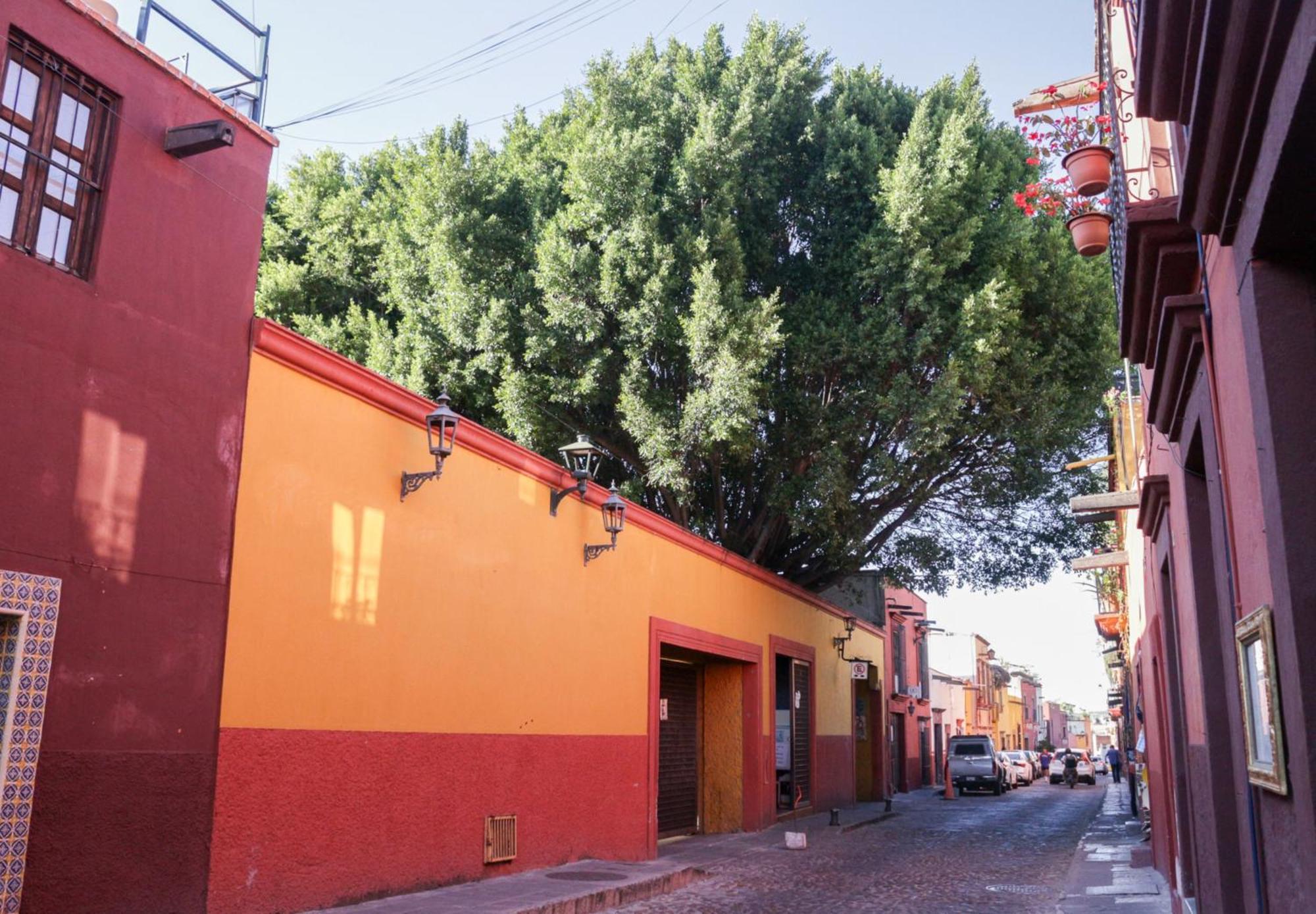 Casa Relox 43 Hotel San Miguel de Allende Bagian luar foto